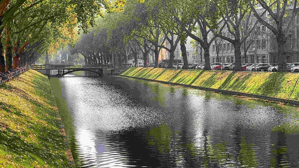 Wasserkanal von Bäumen umrandet in Düsseldorf